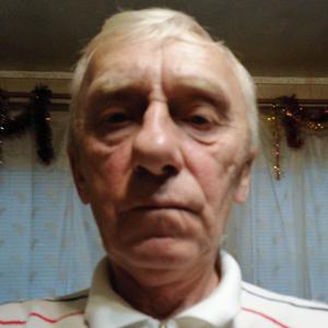 Николай, 68 лет, Ульяновск