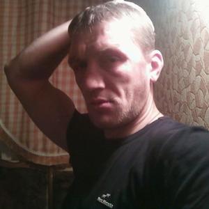 Андрей Беляев, 45 лет, Воронеж
