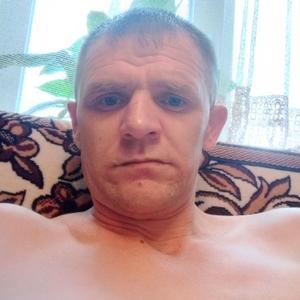 Сергей, 43 года, Никольск