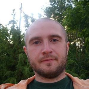Иван, 42 года, Рыбинск