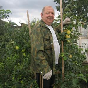 Борис, 70 лет, Екатеринбург