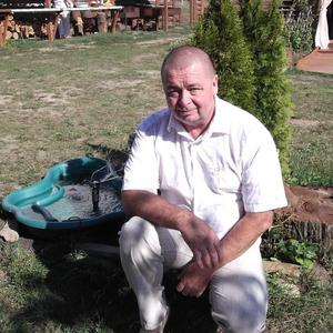 Владимир, 63 года, Белгород