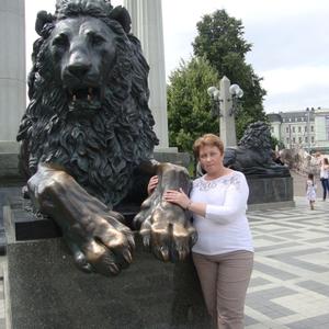 Елена, 51 год, Коряжма