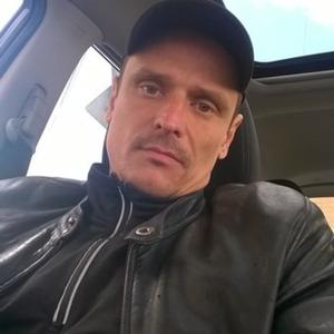 Алексей Панфилов, 44 года, Нижний Тагил