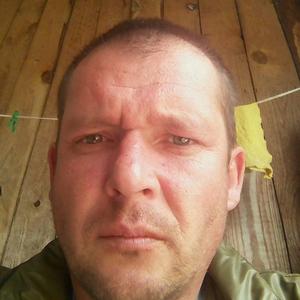 Nikolai, 44 года, Светлогорск