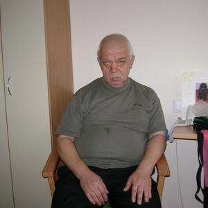 Юрий Лопаткин, 74 года, Кронштадт