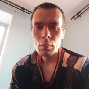 Алексей Шилоских, 38 лет, Челябинск