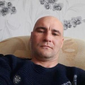 Алексей, 44 года, Елизово