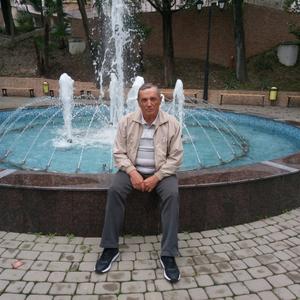 Владимир Борисов, 75 лет, Самара