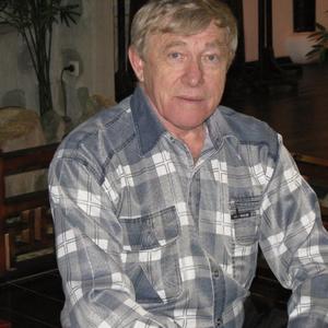 Vladimir Guralnik, 79 лет, Протвино