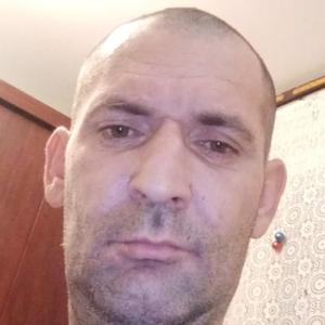 Василий, 45 лет, Кондопога