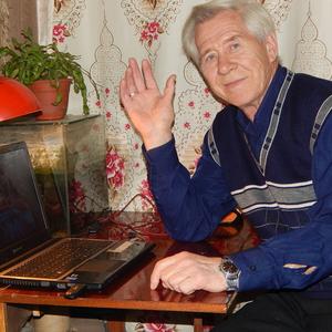 Андрей, 76 лет, Серов