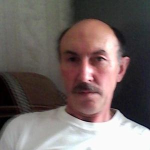 Timerzan Amirov, 60 лет, Актюбинский