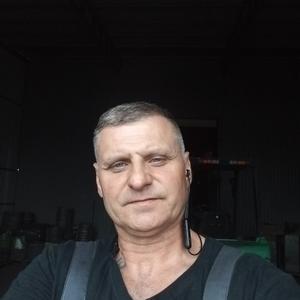 Вячеслав, 54 года, Камыши