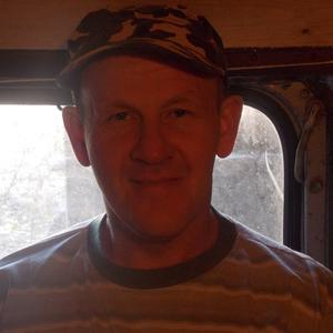 Николай Канисков, 49 лет, Вологда