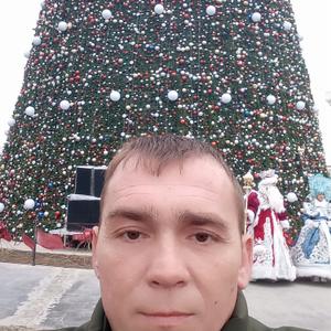 Денис, 42 года, Ташкент