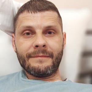 Евгений Санников, 41 год, Томск