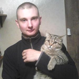 Николай, 34 года, Балтийск