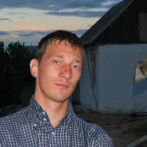 Николай Северин, 37 лет, Воронеж
