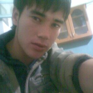 Арсен, 33 года, Ташкент