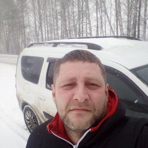 Владимир, 43 года, Зеленогорск