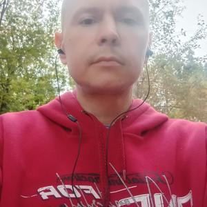 Алексей, 40 лет, Подольск