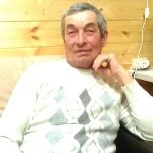 Николай, 67 лет, Казань