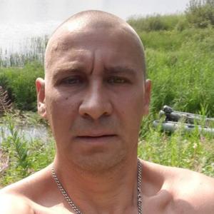 Дима, 41 год, Череповец