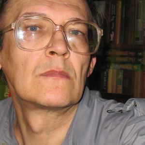 Mikhail Nemkov, 66 лет, Барнаул