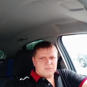 Виталий, 42 года, Цимлянск