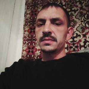Роман, 37 лет, Шымкент
