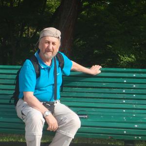 Борис, 81 год, Санкт-Петербург