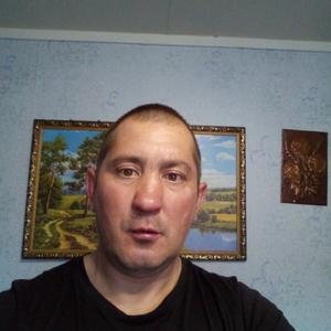 Александр, 42 года, Кумылженская