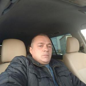 Анатолий, 44 года, Владимир