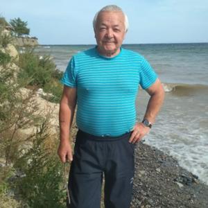 Николай, 64 года, Иркутск