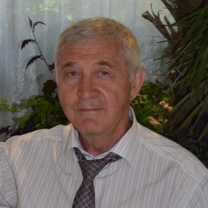 Анатолий, 79 лет, Москва