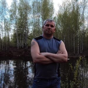 Андрей Перов, 53 года, Муром