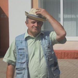 Сергей Кононов, 68 лет, Белгород