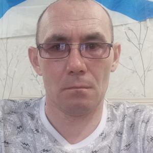Алексей Дмитриев, 47 лет, Йошкар-Ола
