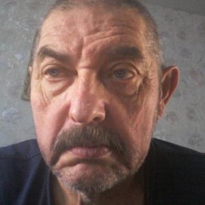 Петр, 68 лет, Санкт-Петербург