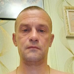 Дмитрий, 42 года, Боровичи