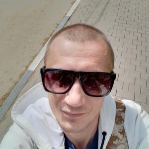 Александр, 36 лет, Тула