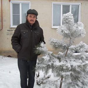 Юрий, 63 года, Петров Вал