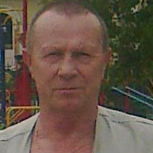 Николай, 73 года, Подольск