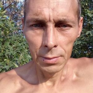 Вадим, 46 лет, Шевыревка