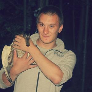 Парни в Ростове: Дмитрий, 32 - ищет девушку из Ростова