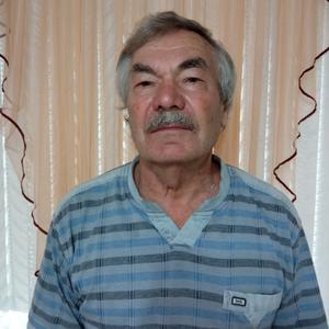 Анатолий, 73 года, Ставрополь