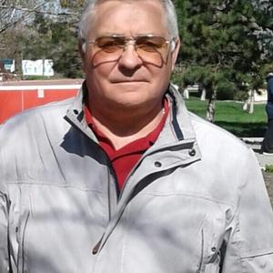Владимир, 67 лет, Волгодонск