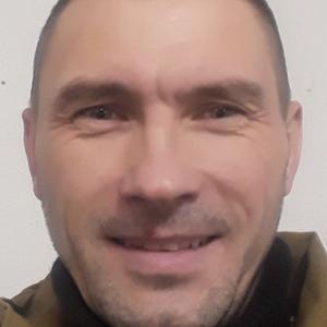 Денис Баранов, 44 года, Рыбинск