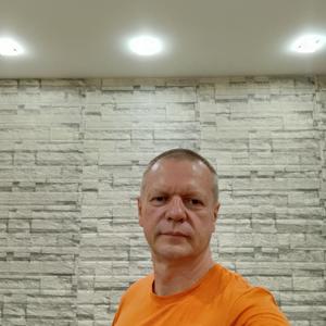 Владимир Моисеев, 48 лет, Псков